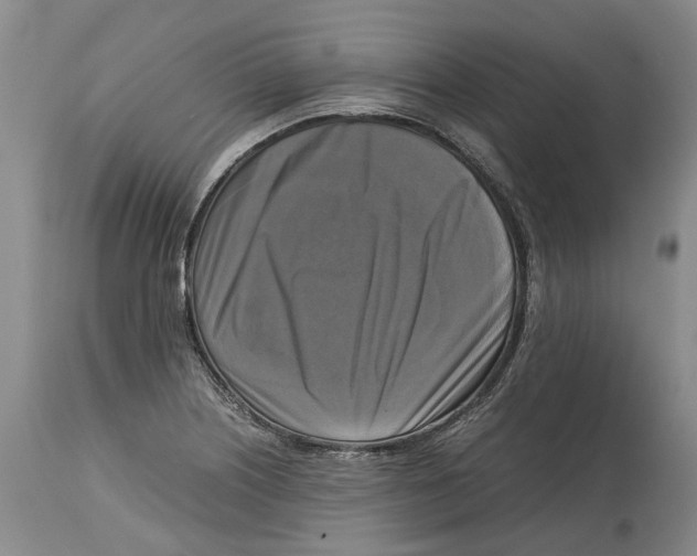 X0000115101226200911171233