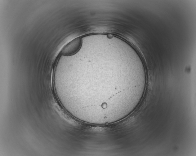 X0000115101227200911171233