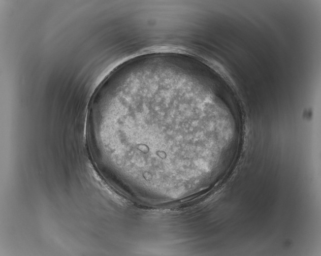 X0000115101228200911171233