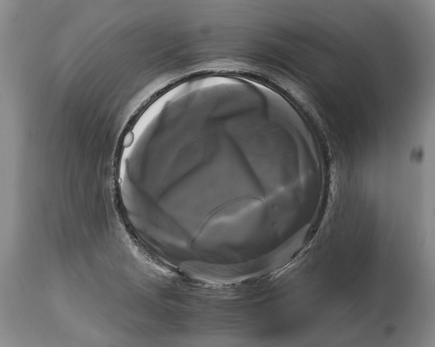 X0000115101229200911171233