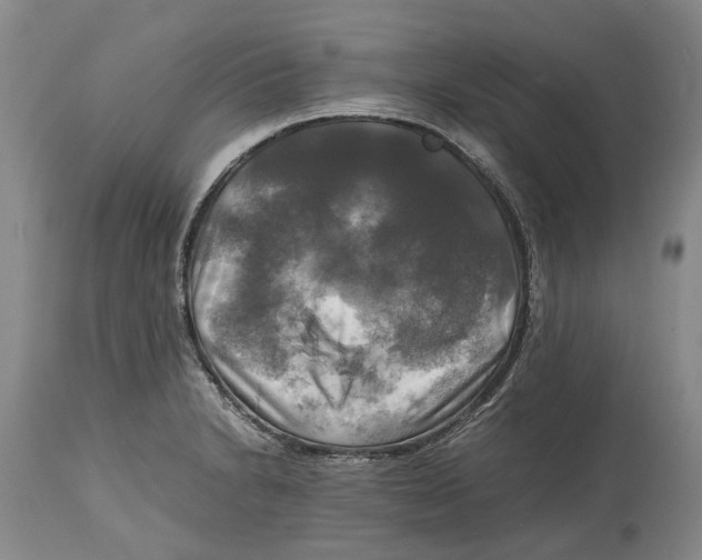 X0000115101230200911171233