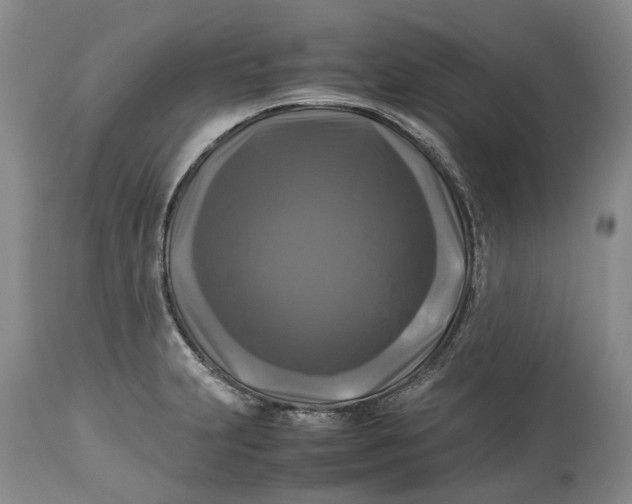 X0000115101231200911171233