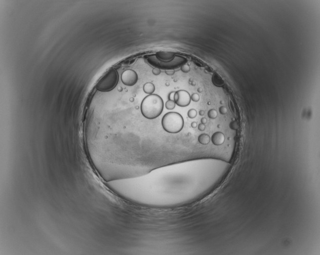 X0000115101232200911171233