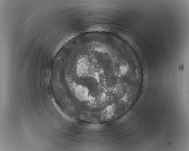 X0000115101233200911171233