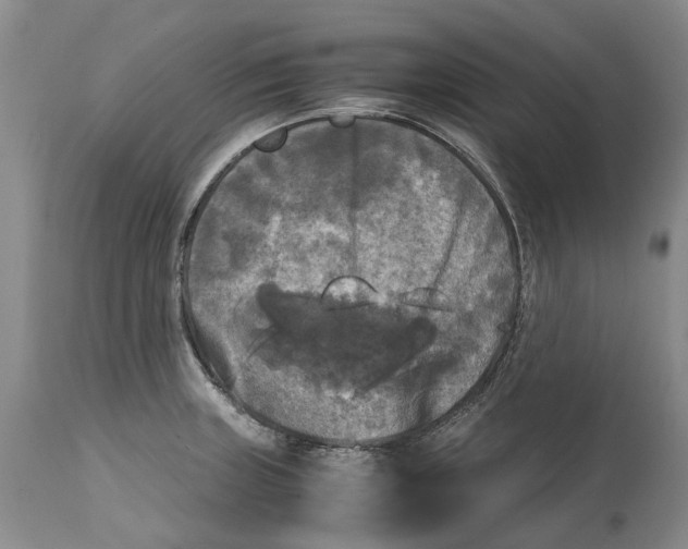 X0000115101235200911171233