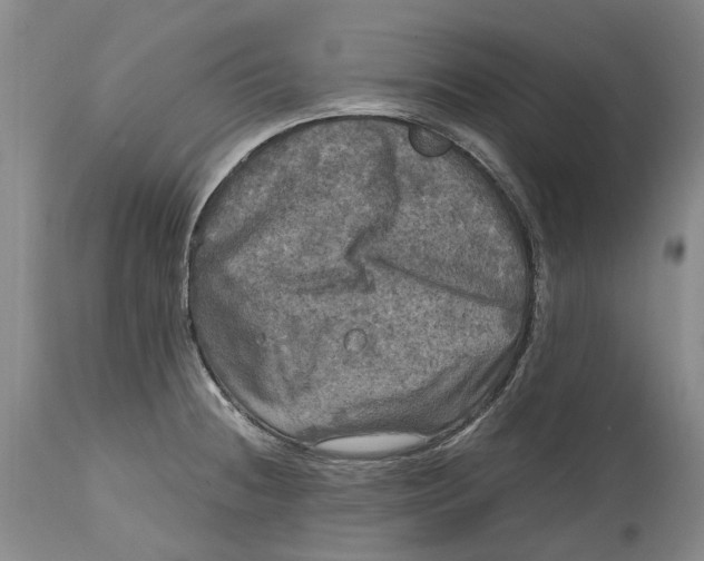 X0000115101236200911171233