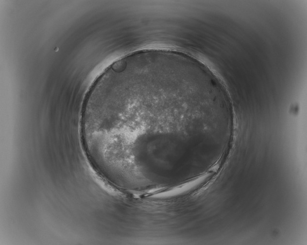 X0000115101237200911171233