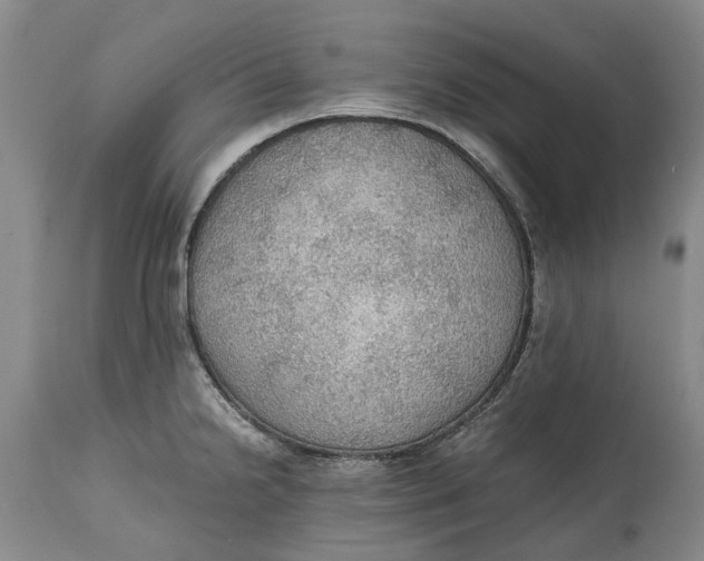 X0000115101238200911171233