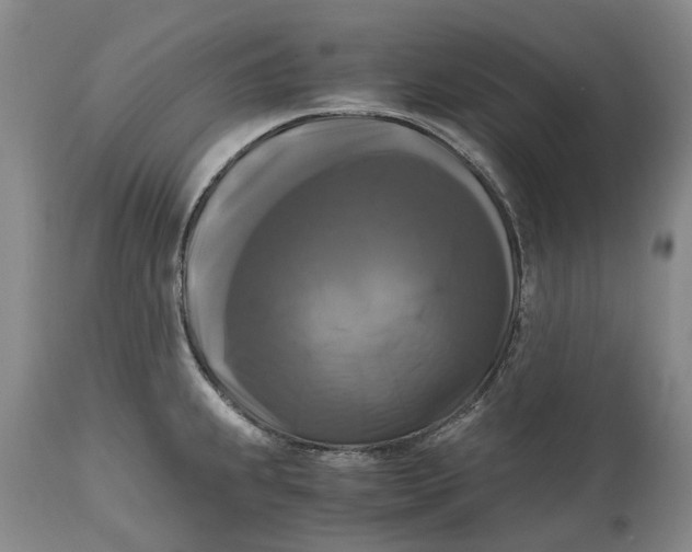 X0000115101239200911171233