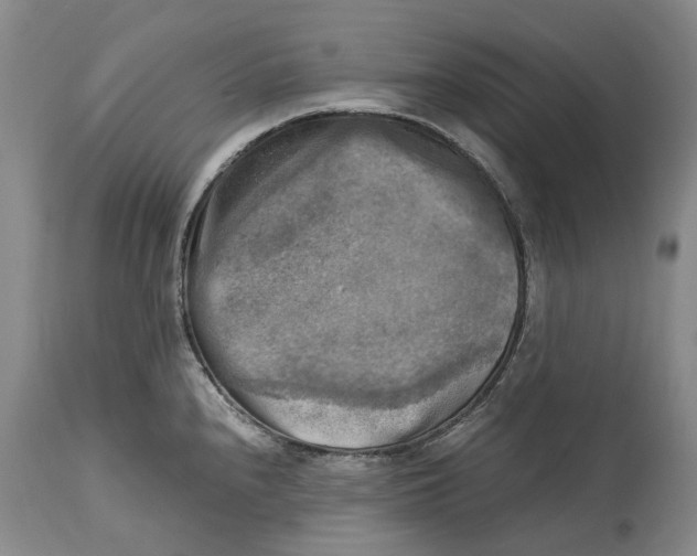 X0000115101240200911171233