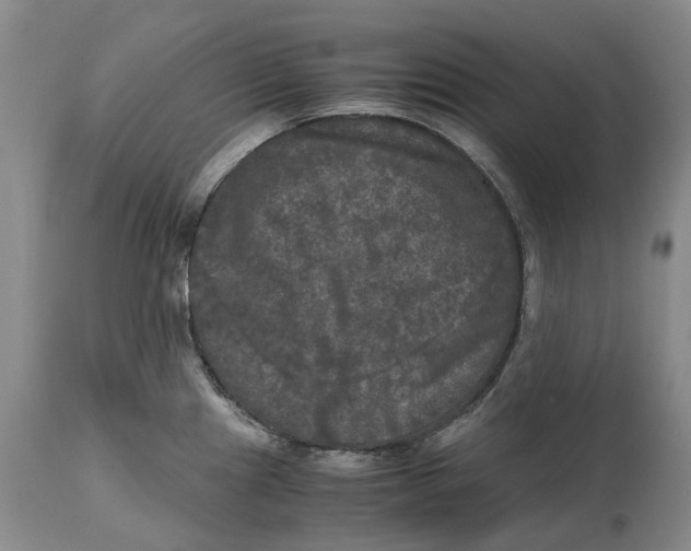 X0000115101241200911171233