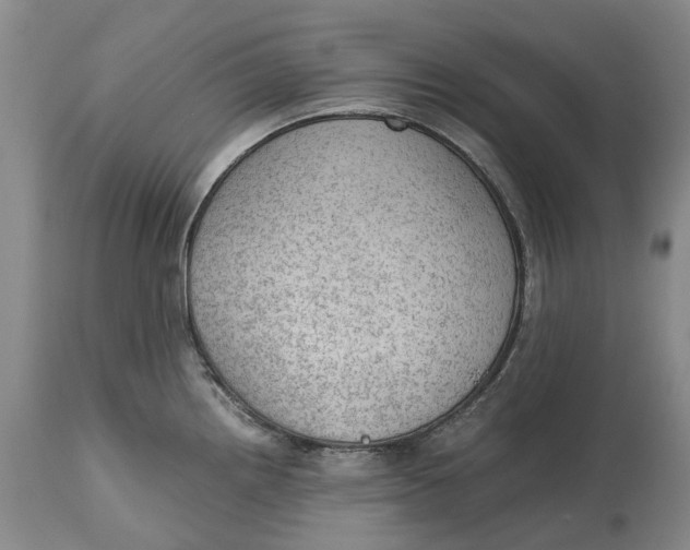 X0000115101242200911171233