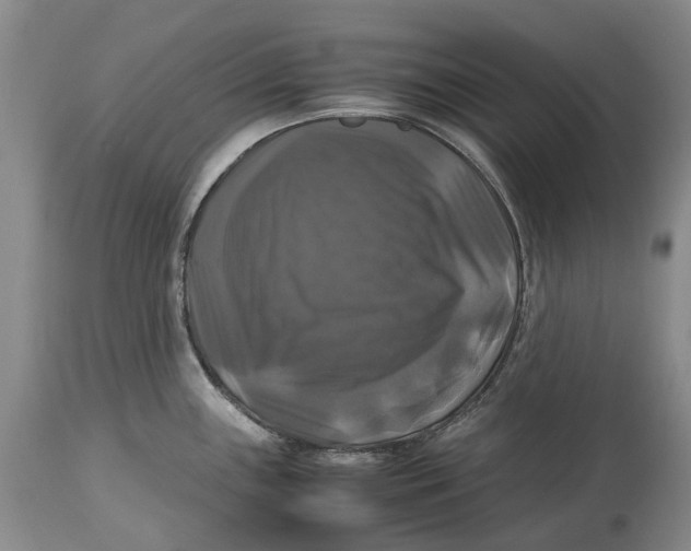 X0000115101243200911171233