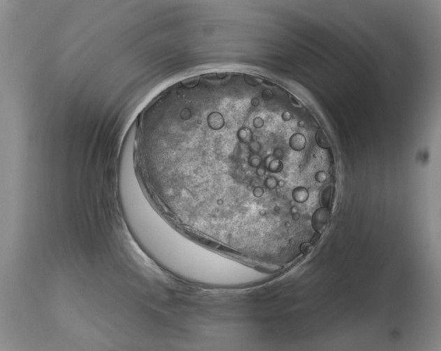 X0000115101244200911171233