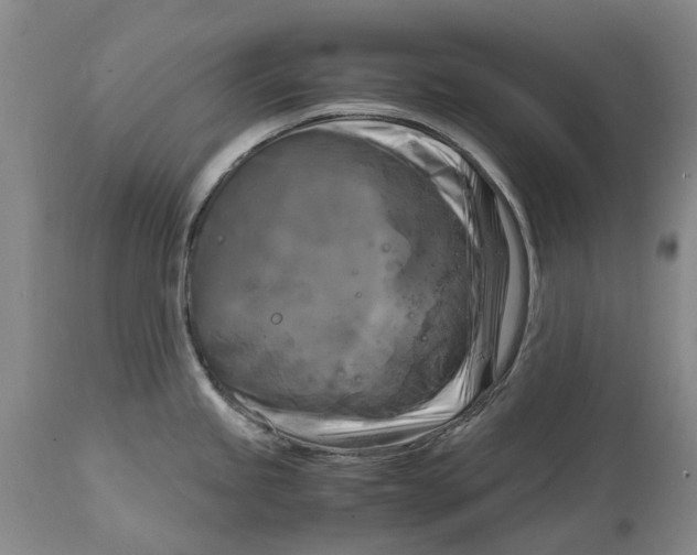 X0000115101245200911171233