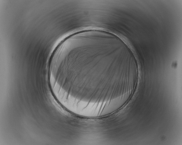 X0000115101246200911171233