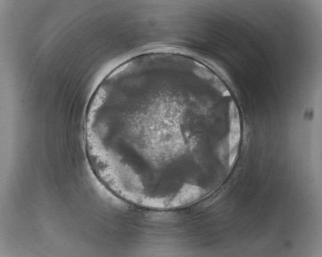 X0000115101247200911171233