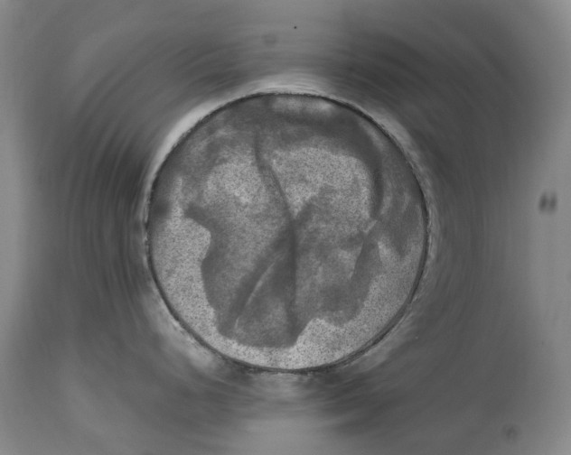 X0000115101248200911171233