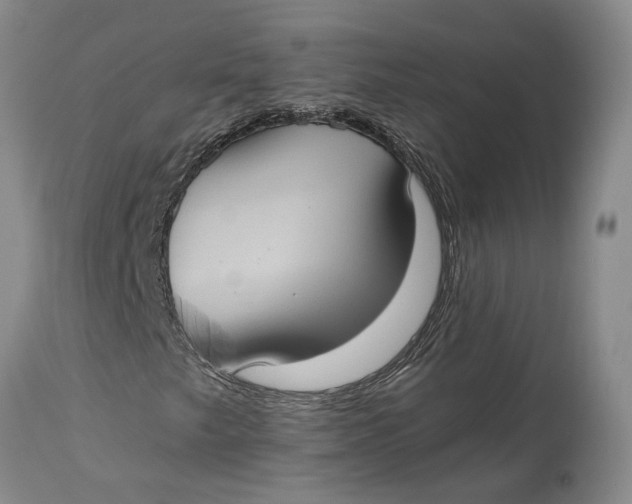 X0000115101249200911171232