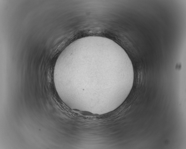 X0000115101250200911171232