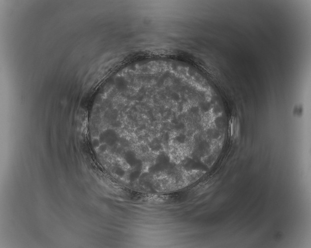 X0000115101251200911171232