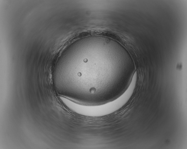 X0000115101252200911171232