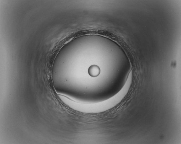 X0000115101253200911171232