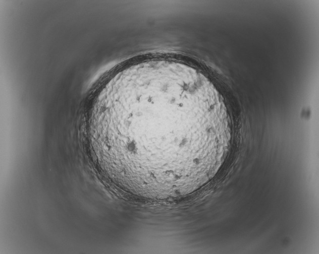 X0000115101255200911171232