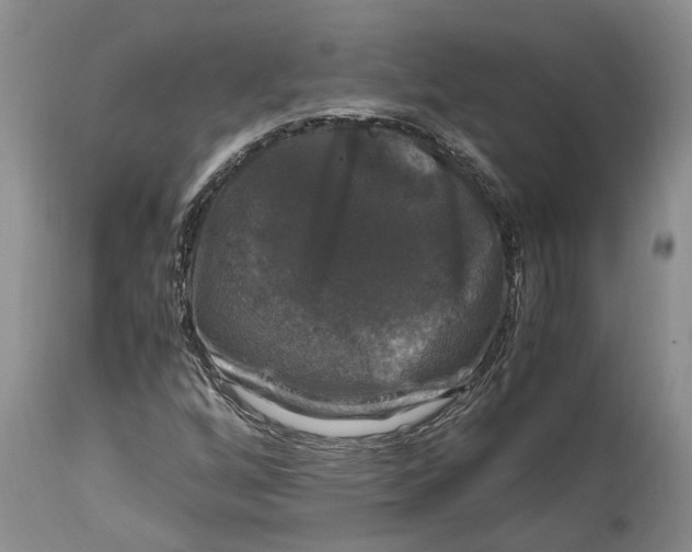 X0000115101256200911171232