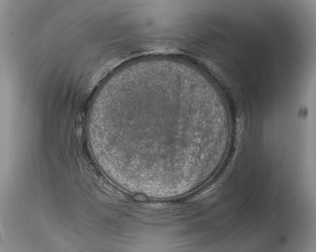 X0000115101257200911171232