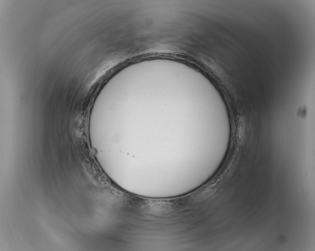 X0000115101258200911171232