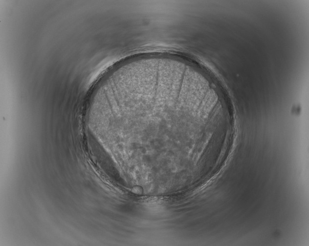 X0000115101259200911171232