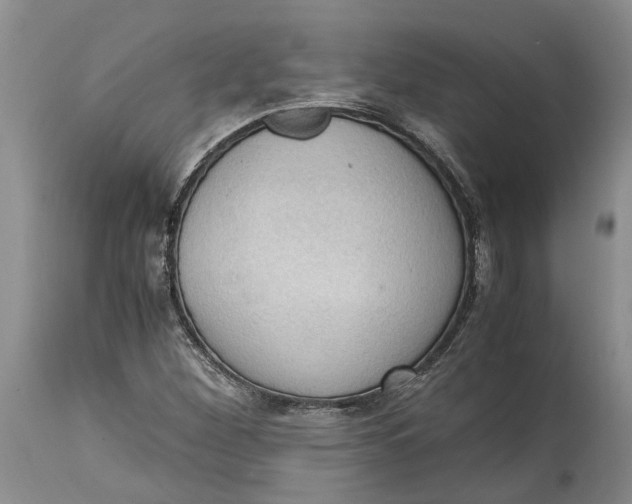 X0000115101260200911171232