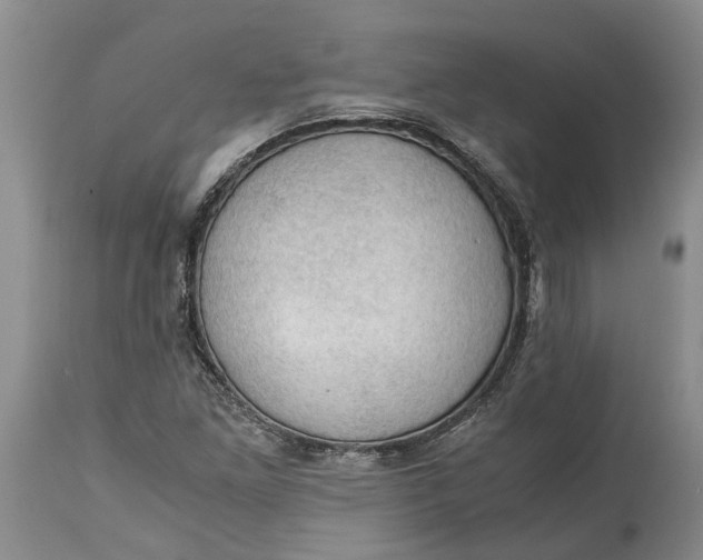 X0000115101261200911171232