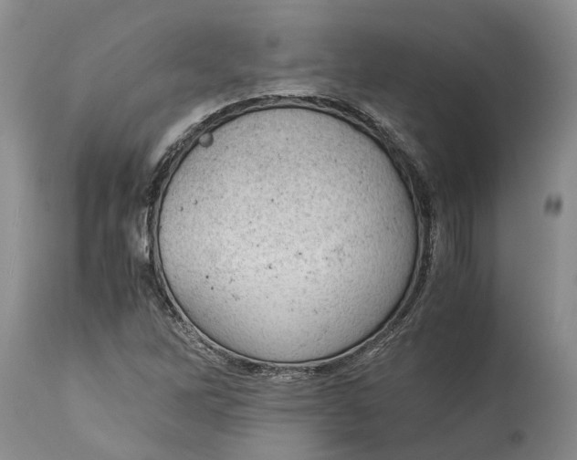 X0000115101262200911171232