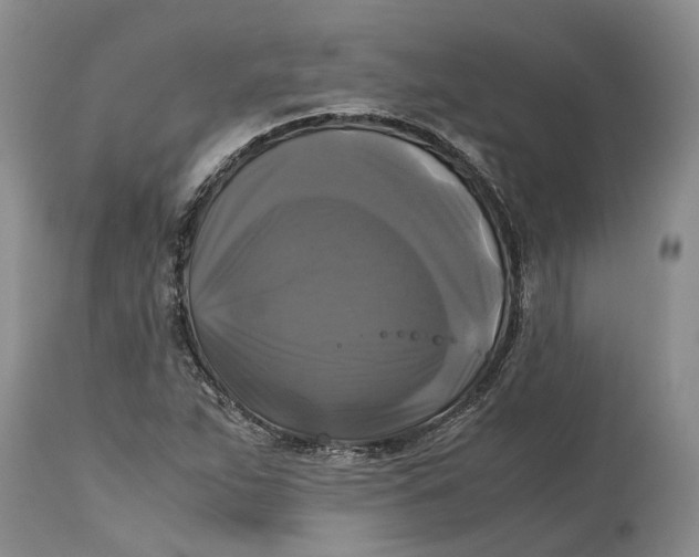 X0000115101263200911171232