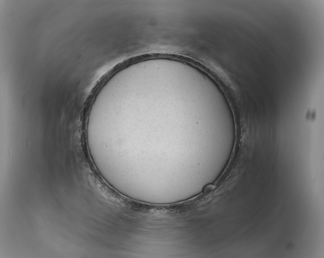 X0000115101264200911171232