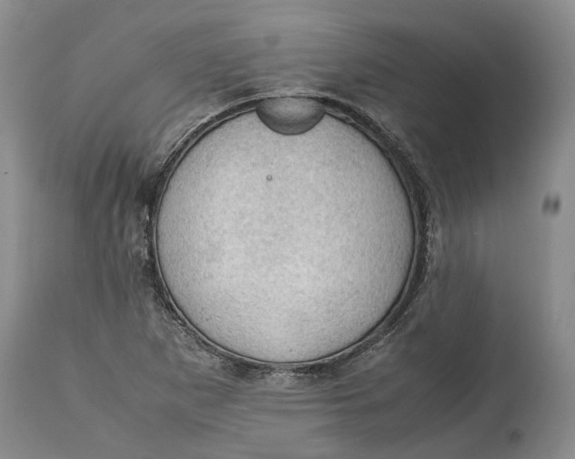 X0000115101265200911171232