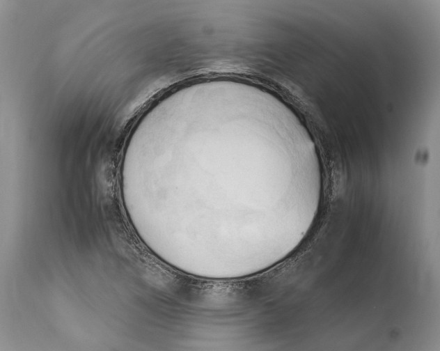 X0000115101266200911171232