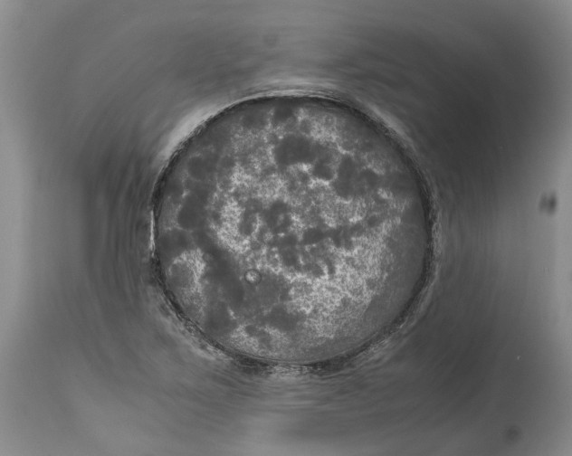 X0000115101267200911171232