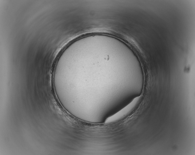 X0000115101268200911171232