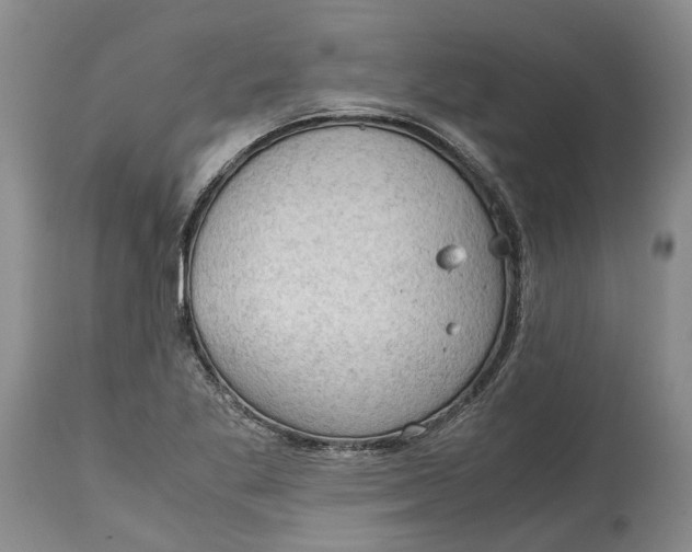 X0000115101269200911171232