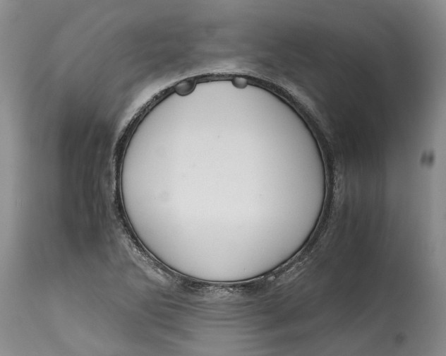 X0000115101270200911171232