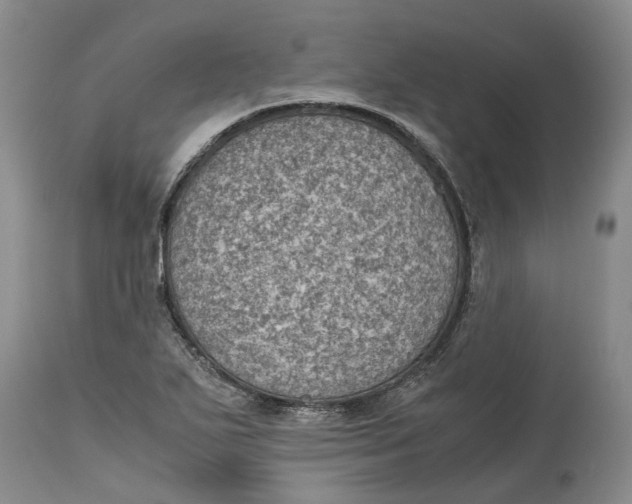 X0000115101271200911171232