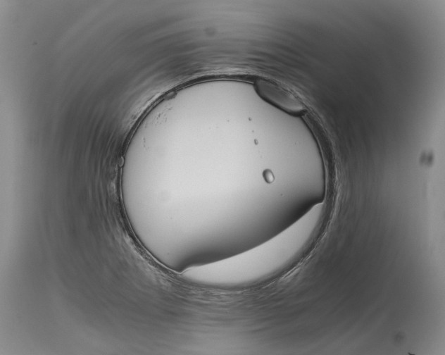 X0000115101273200911171232