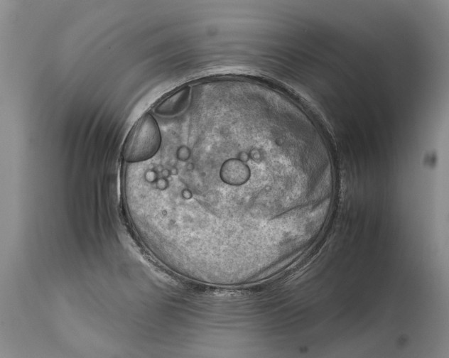 X0000115101274200911171232