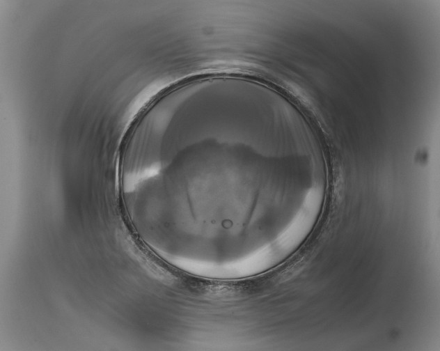 X0000115101275200911171232