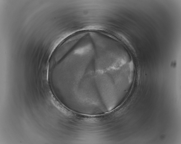 X0000115101276200911171232