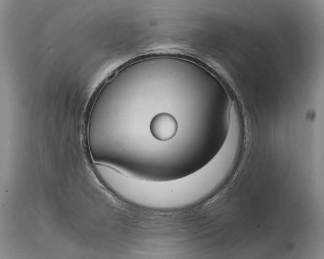 X0000115101277200911171232