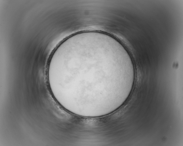 X0000115101278200911171232